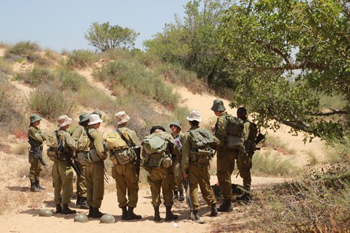 ניצנים