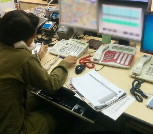 המיון לפלגה ירוקה
