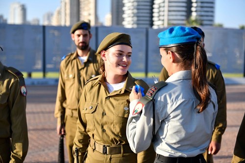 טנא 24