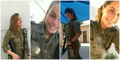 המדריך המלא כך תשרדו את עיר הבהדים