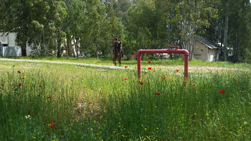 מחנה 80 -2