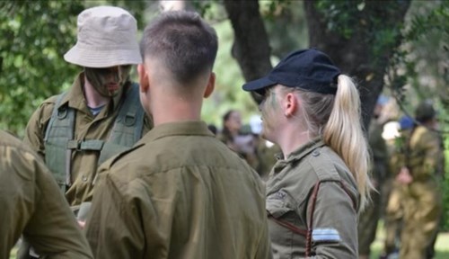 גאווה ישראלית
